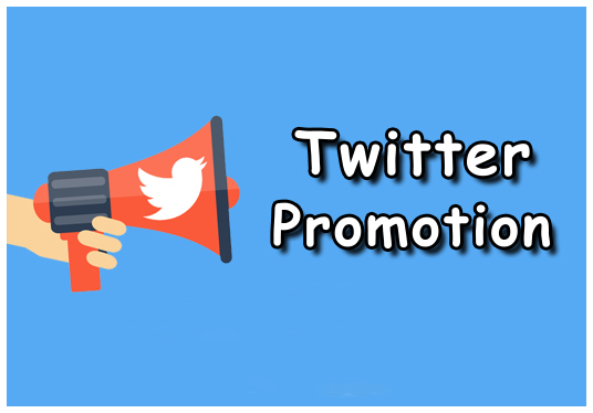 twitter promotion